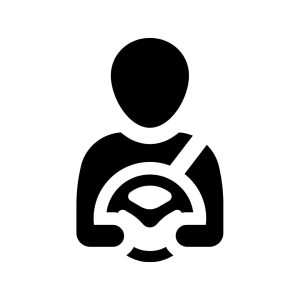 Conductores altamente capacitados con licencia profesional ruta sur transportes